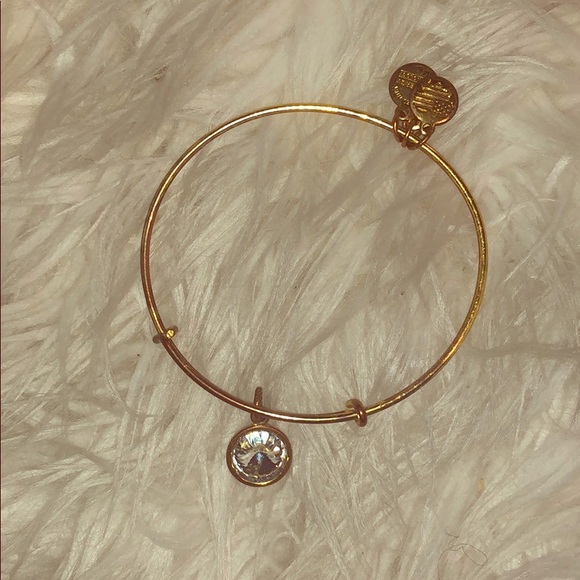 Alex and Ani bracelet! - Picture 1 of 1